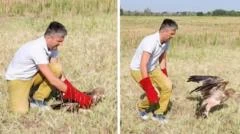 Águila imperial rescatada de traficantes es liberada en Serbia