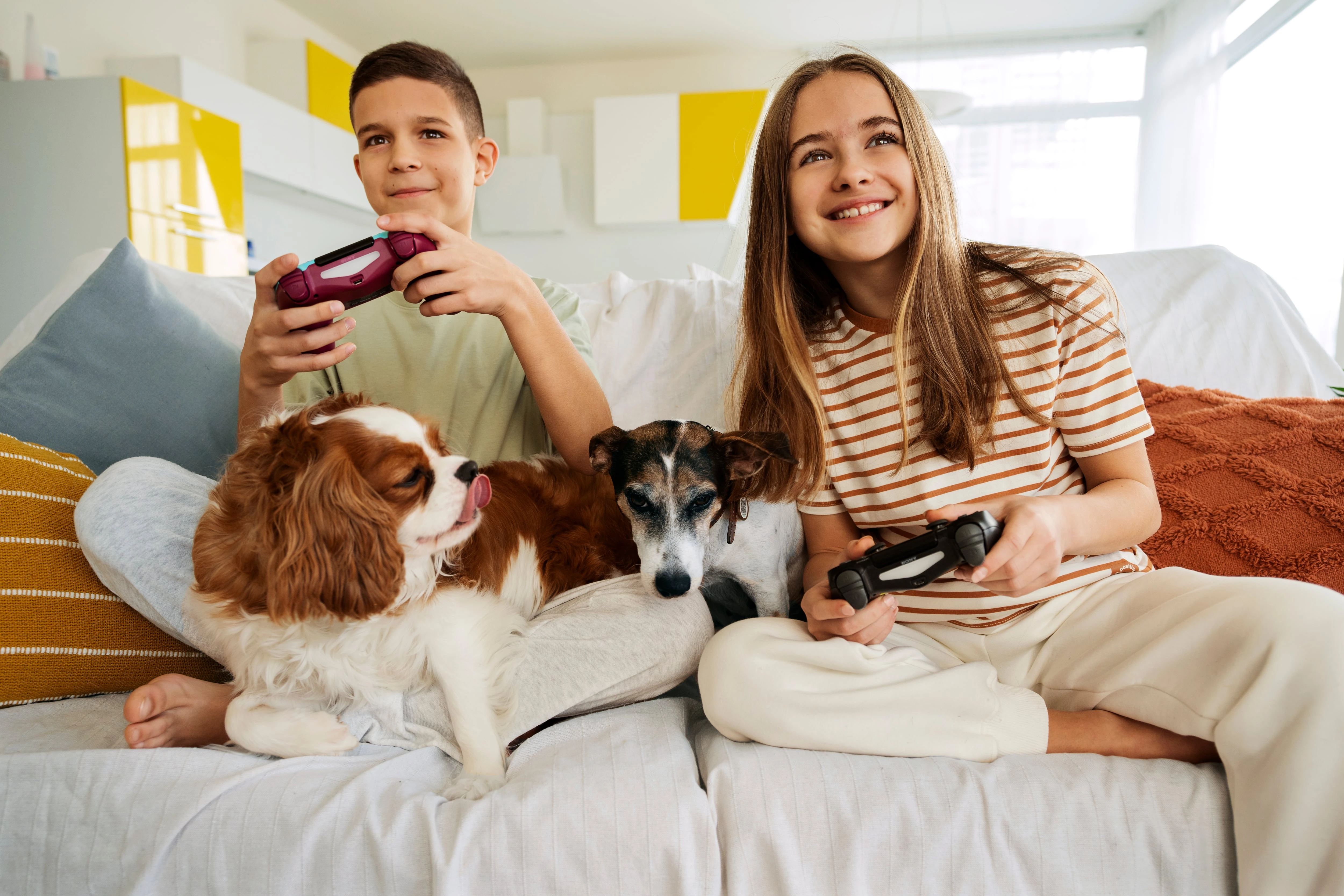 Cuidar múltiples mascotas mejora la organización personal, según psicólogos