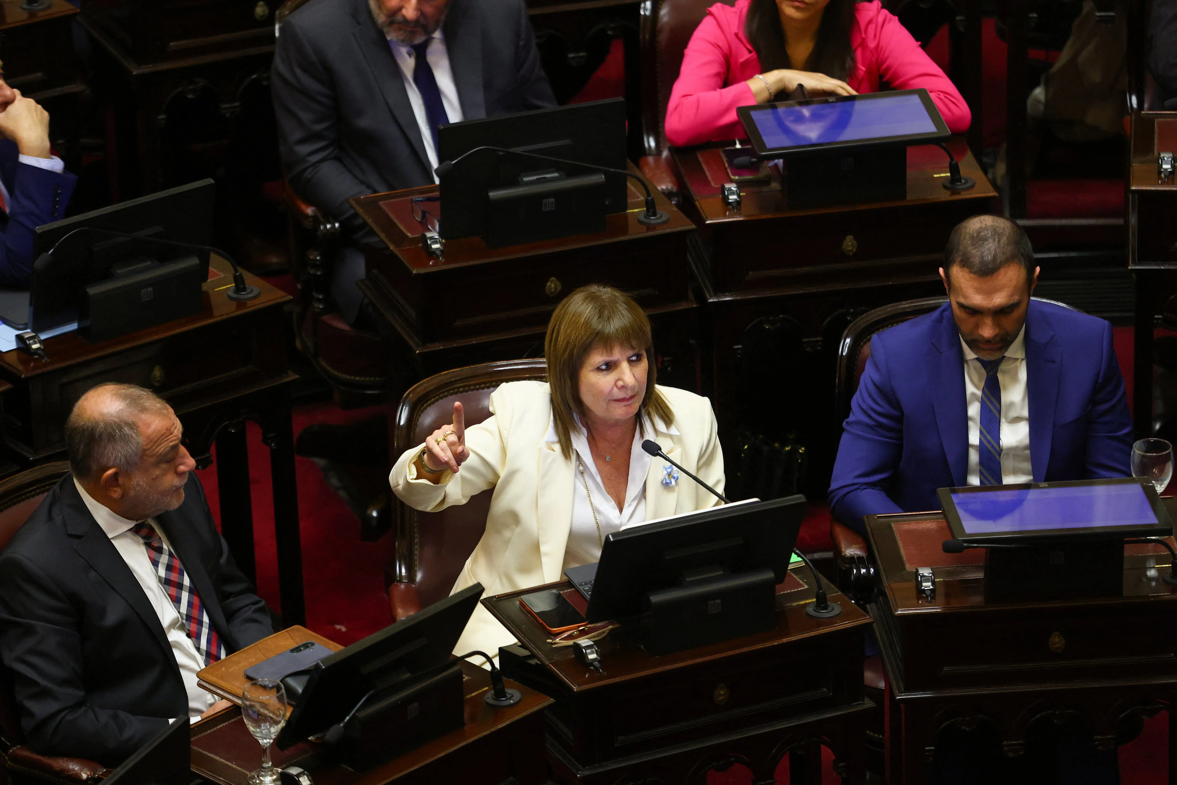 Debate en el Senado sobre la Ley de Inviolabilidad de la Propiedad Privada