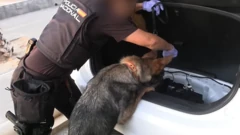 Desmantelan una de las mayores redes de contrabando en España con 78 detenidos