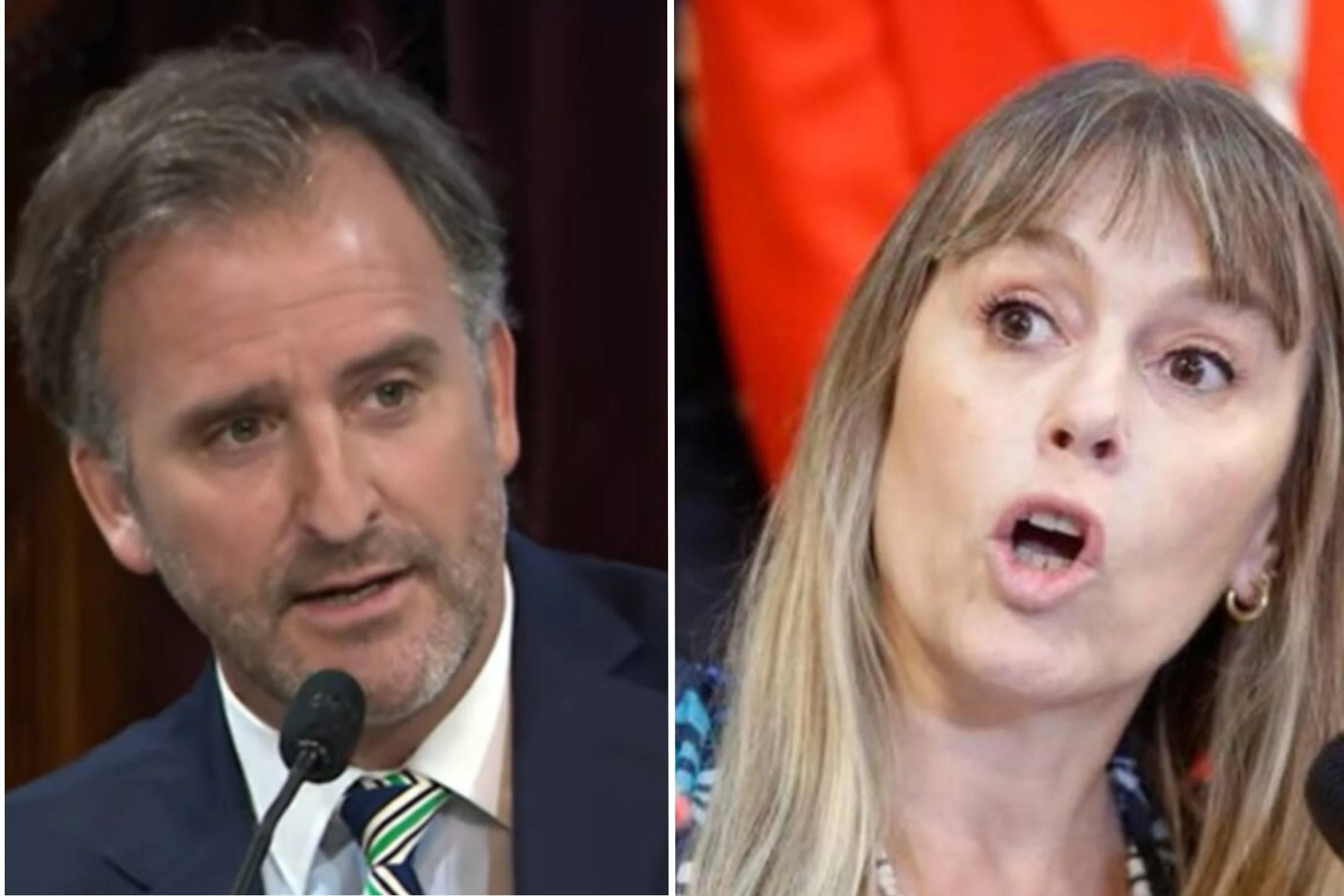 Di Tullio intenta impugnar a Benegas Lynch en el Senado y genera controversia