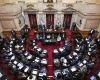 El Senado Argentino aprueba la ley de propiedad tras eliminar dos capítulos polémicos