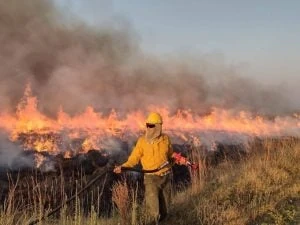 El Senado debatirá modificaciones a la Ley de Manejo del Fuego en Argentina