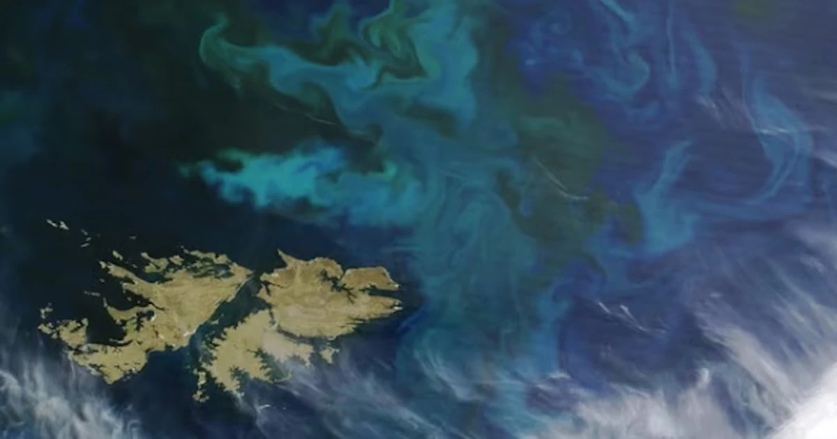 El subsecretario Álvarez criticó a funcionaria británica por celebrar el 'Falklands Day'