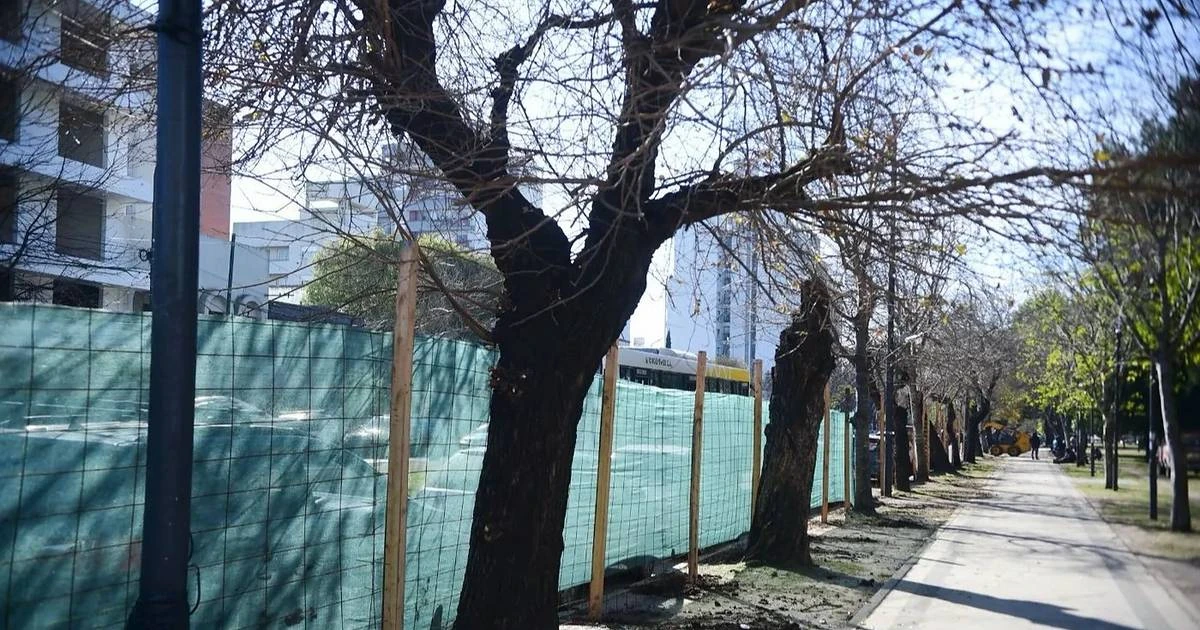 Joven de 23 años hallada muerta en el Parque Saavedra, investigan el caso