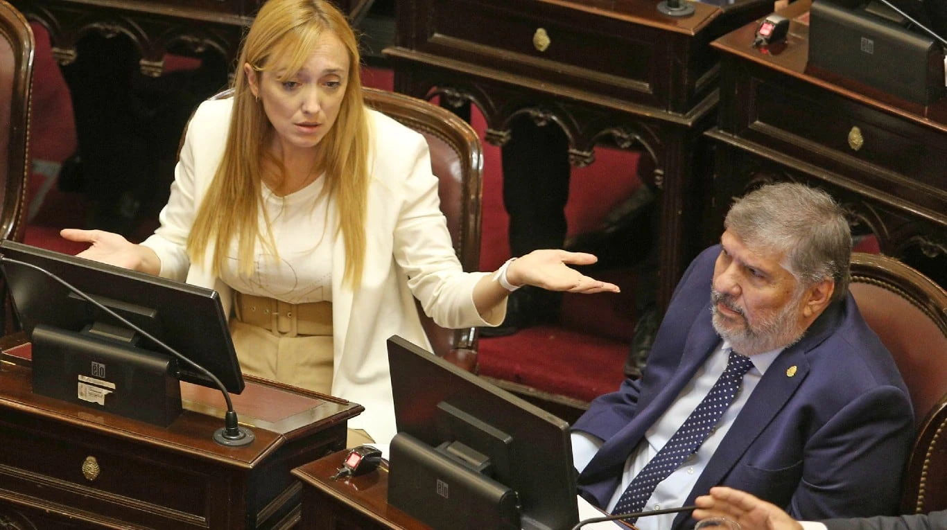 La senadora Anabel Fernández Sagasti solicita votar de forma virtual por su embarazo
