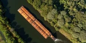 Paro en puertos argentinos ocasiona retrasos en exportaciones de granos