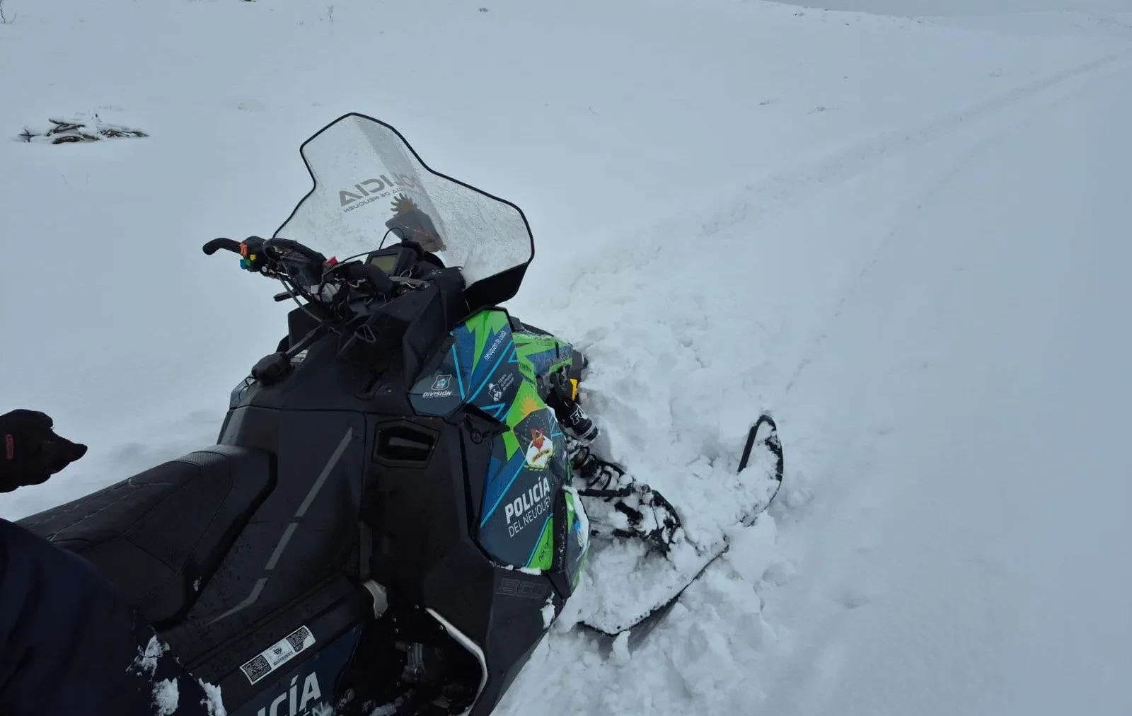 Rescatan a mujer aislada por nieve en Río Negro tras 10 días de búsqueda